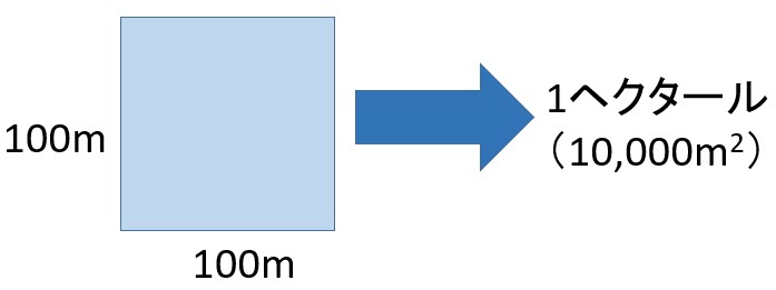 1ヘクタールは10,000m<sup>2</sup>